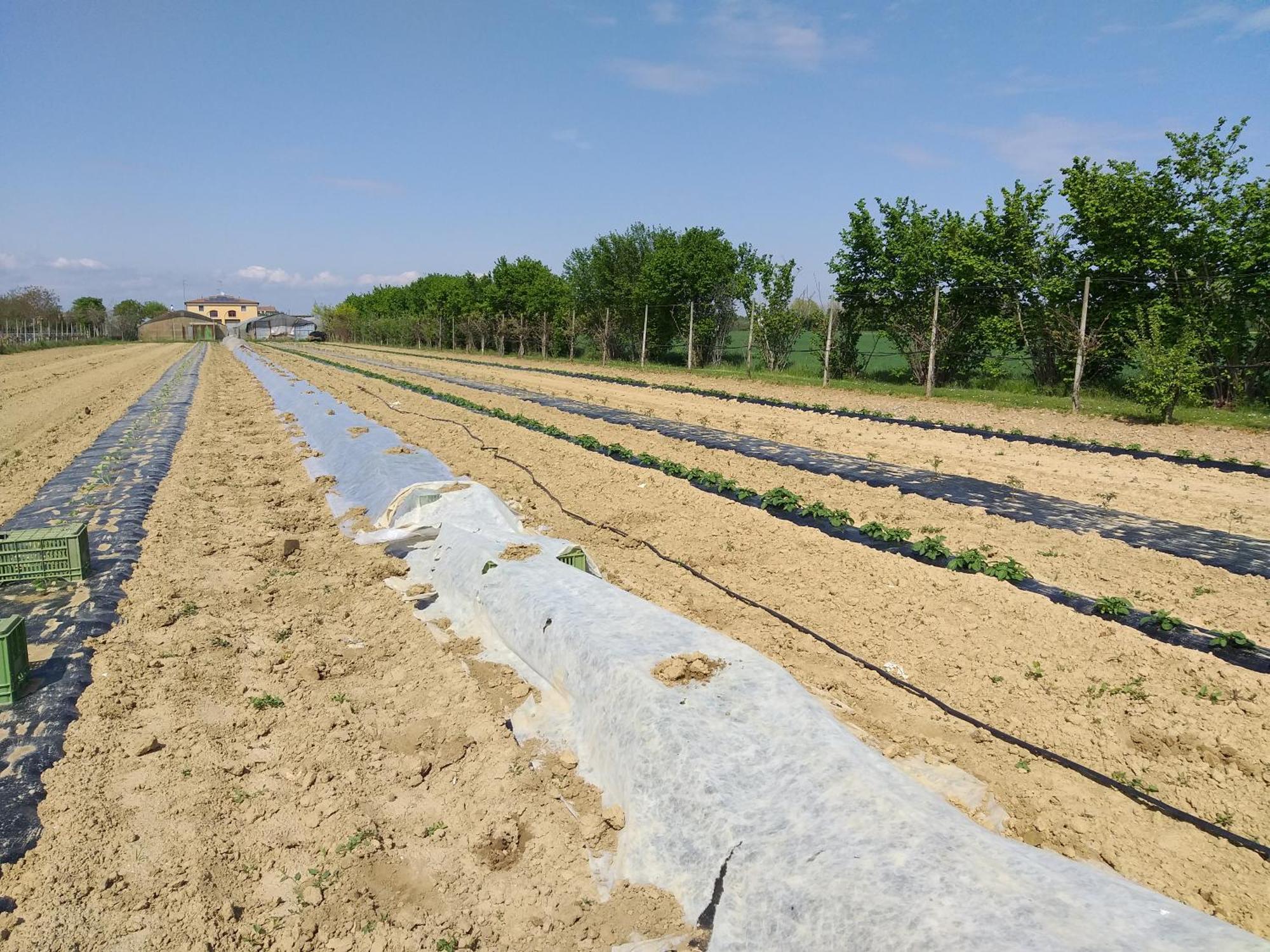 Agriturismo Il Melograno Тесера Екстериор снимка
